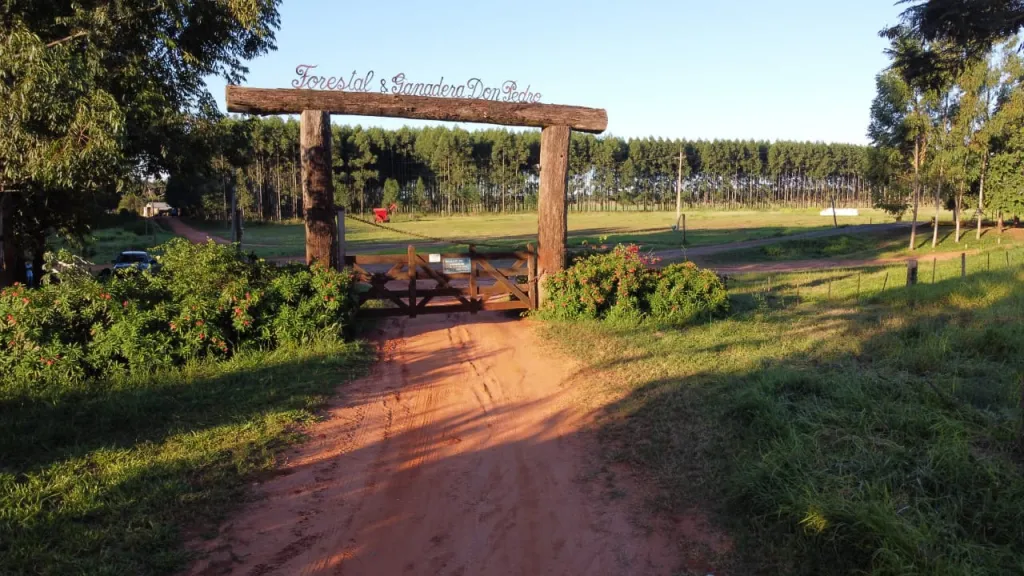 CAAGUAZÚ, CANINDEYÚ, OFERTA INMEDIATA: 14.000 HAS, MECAIZADAS, SILOS, VIVIENDA, LABORATORI — foto 1