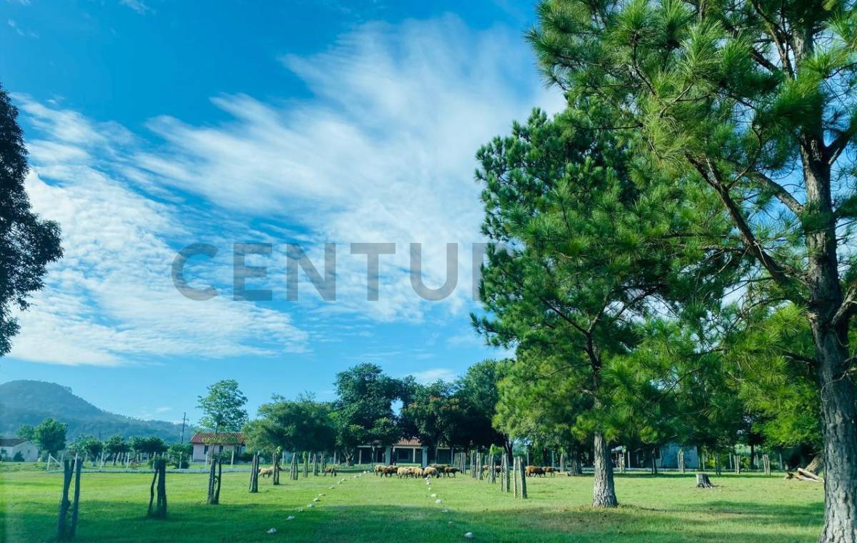 Vendo Estancia sobre ruta Acahay camino a la Colmena — foto 1