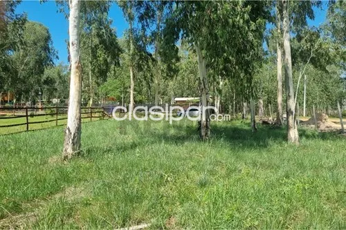 Terreno - Venta - San Bernardino, Cordillera, Paraguay — foto 1