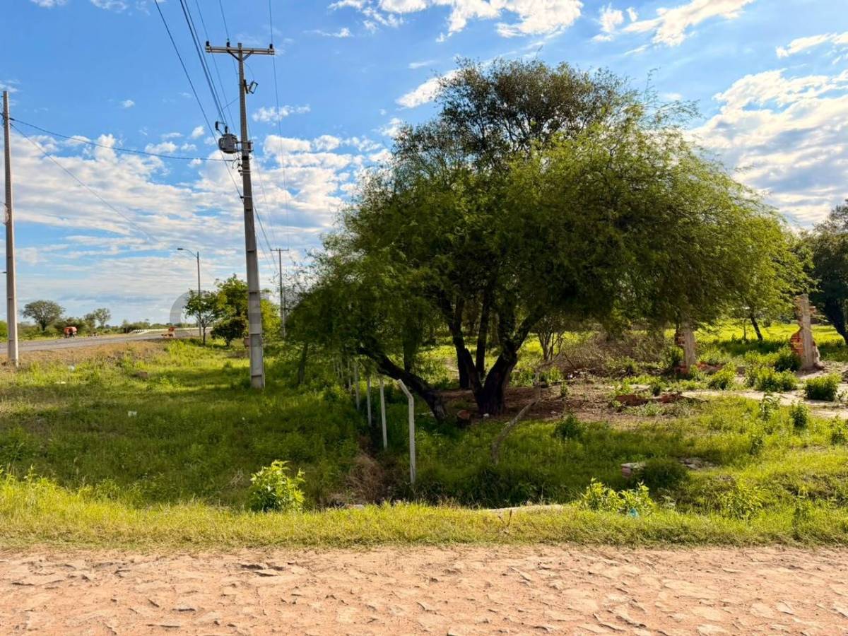 EN VENTA Terreno de 13,88 hectáreas sobre ruta en CHACO´I — foto 1