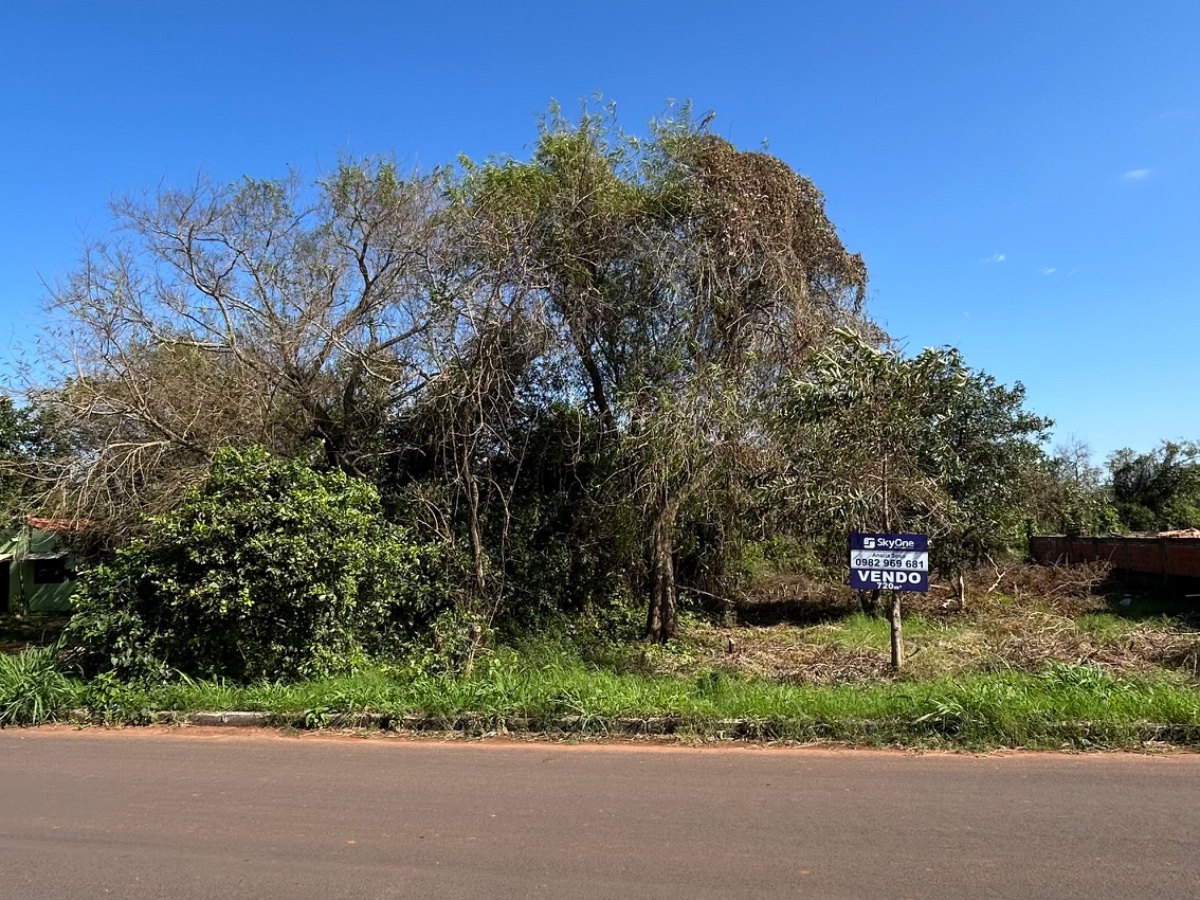 VENDO TERRRENO SOBRE ASFALTO EN CAPIATA — foto 1