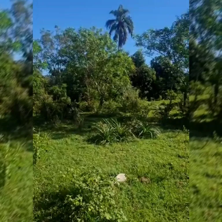 280 hectáreas Vendo sólo el total. No alquilo. Con abundante agua 💧. Caazapá Vendo sTo — foto 1