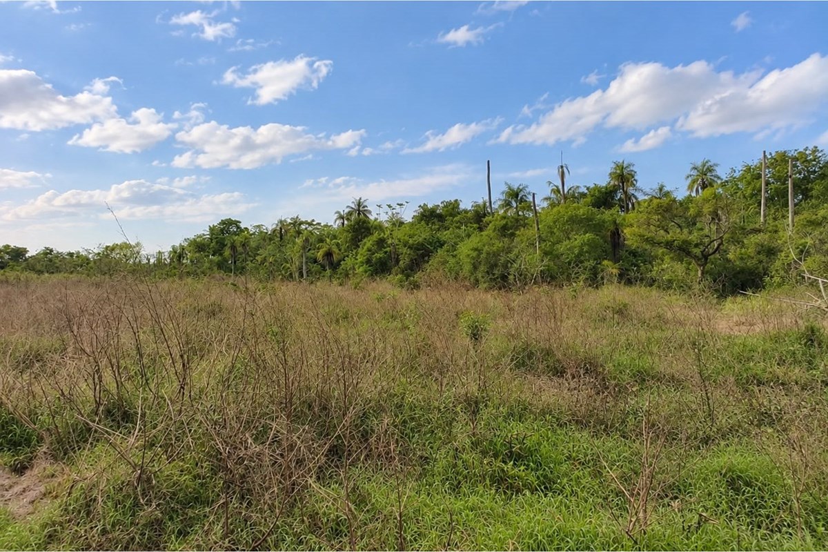Ideal para el desarrollo de agrario, industrial, ganadero o loteamientos. Situado estratégicamente en Guarambaré Central — foto 1