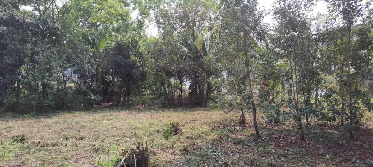 terreno ideal para el hogar de tu sueño , — foto 1