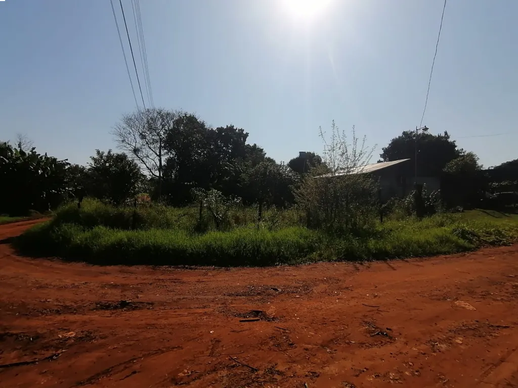 Se Vende Terreno Km 19 Minga Guazu — foto 1