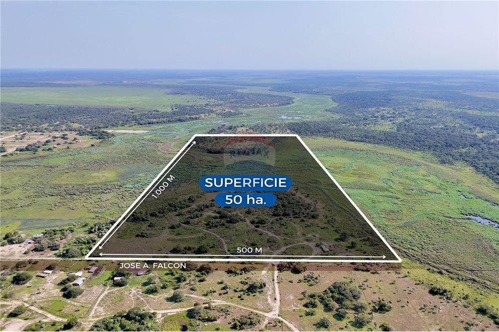 EN VENTA 50 HECTAREAS EN JOSE FALCON — foto 1