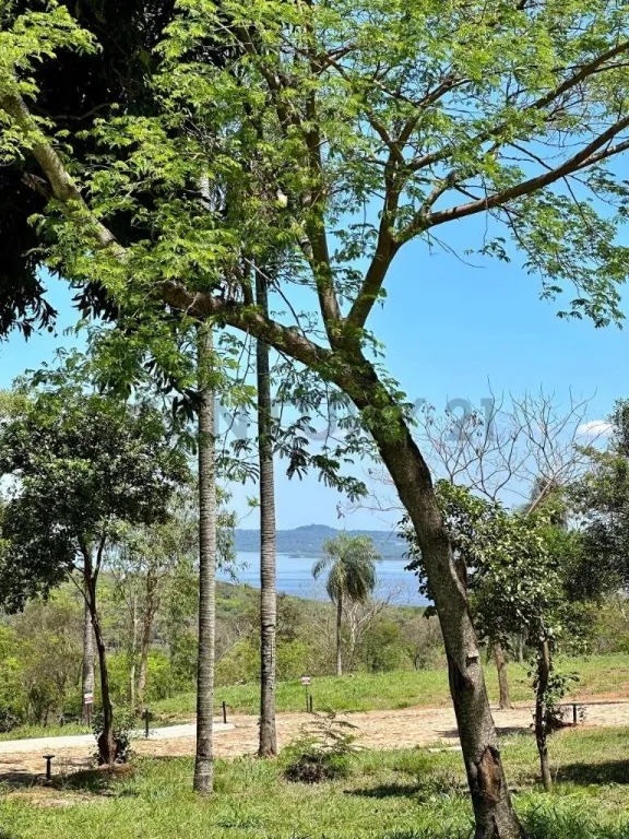 Vendo terreno en Madre Selva - Ciervo Kua, San Bernardino — foto 1