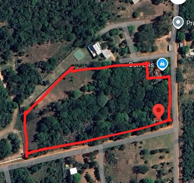 Vendo Terreno en Altos con vista al lago - 25.000 m2 — foto 1