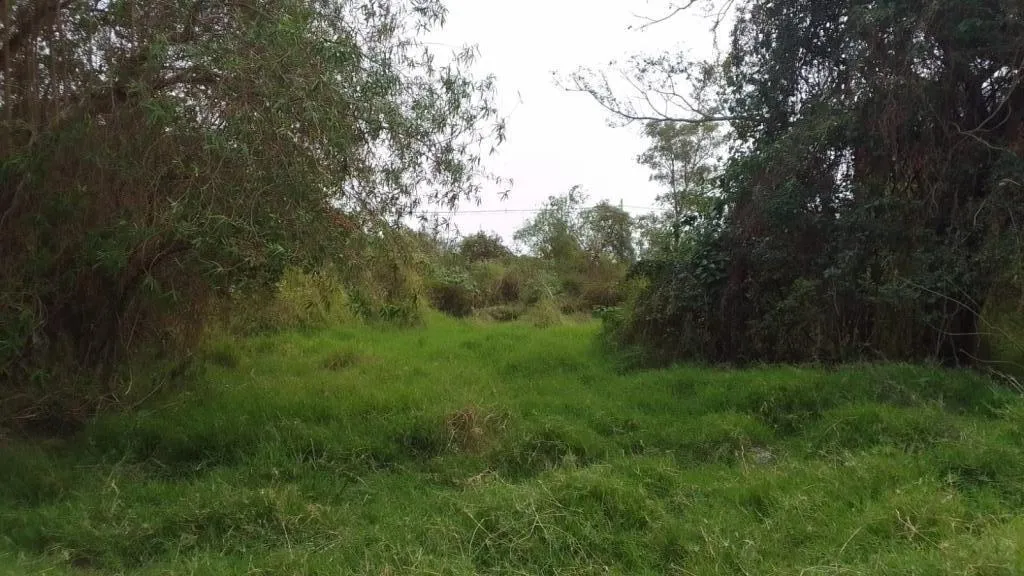 Vendo terreno zona Costa Azul Limpio — foto 1