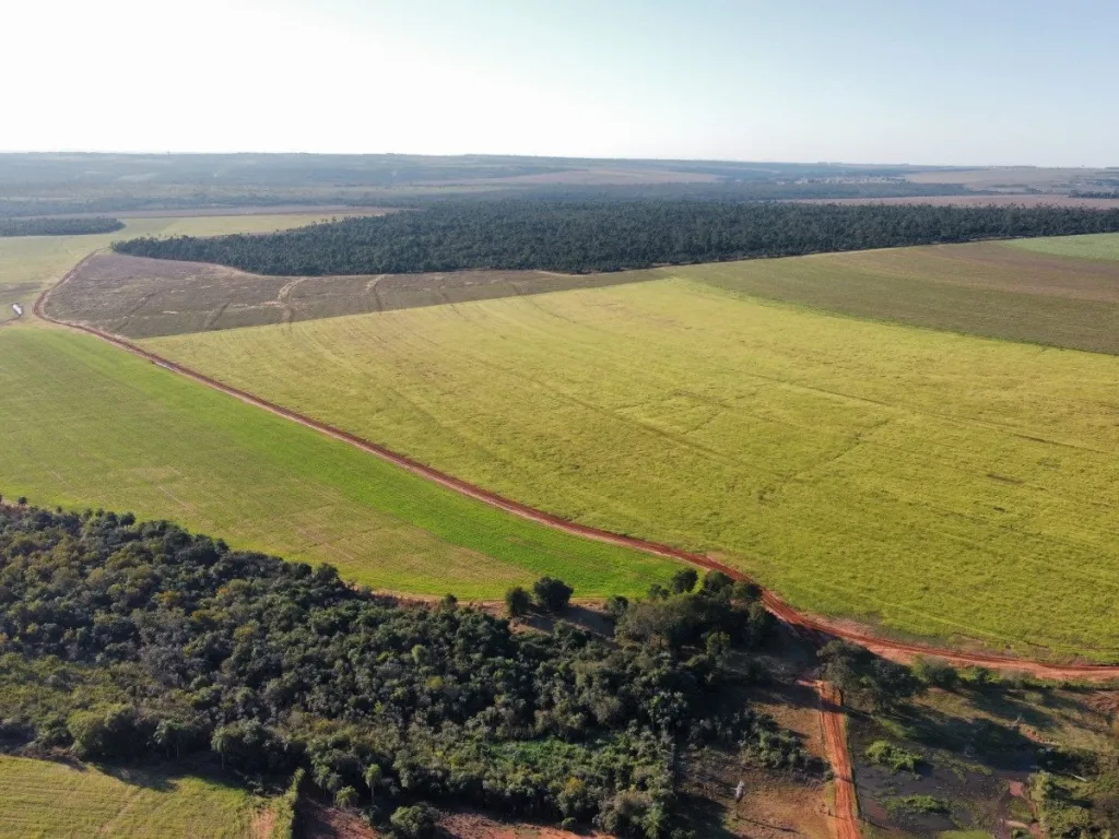 VENDO CAMPO AGRICOLA - GANADERO, 1000 HECTAREAS — foto 1