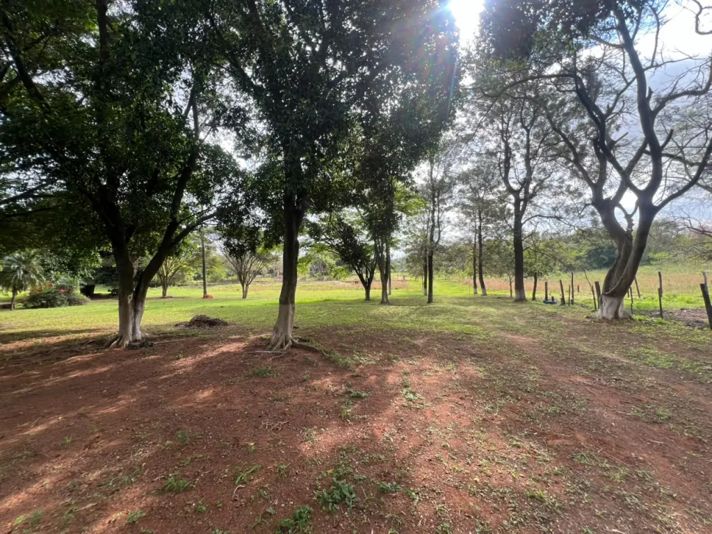 Vendo 17 Hectáreas en Itá- Arruai — foto 1