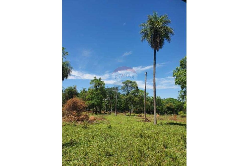 Terreno - Venta - Emboscada, Cordillera, Paraguay — foto 1