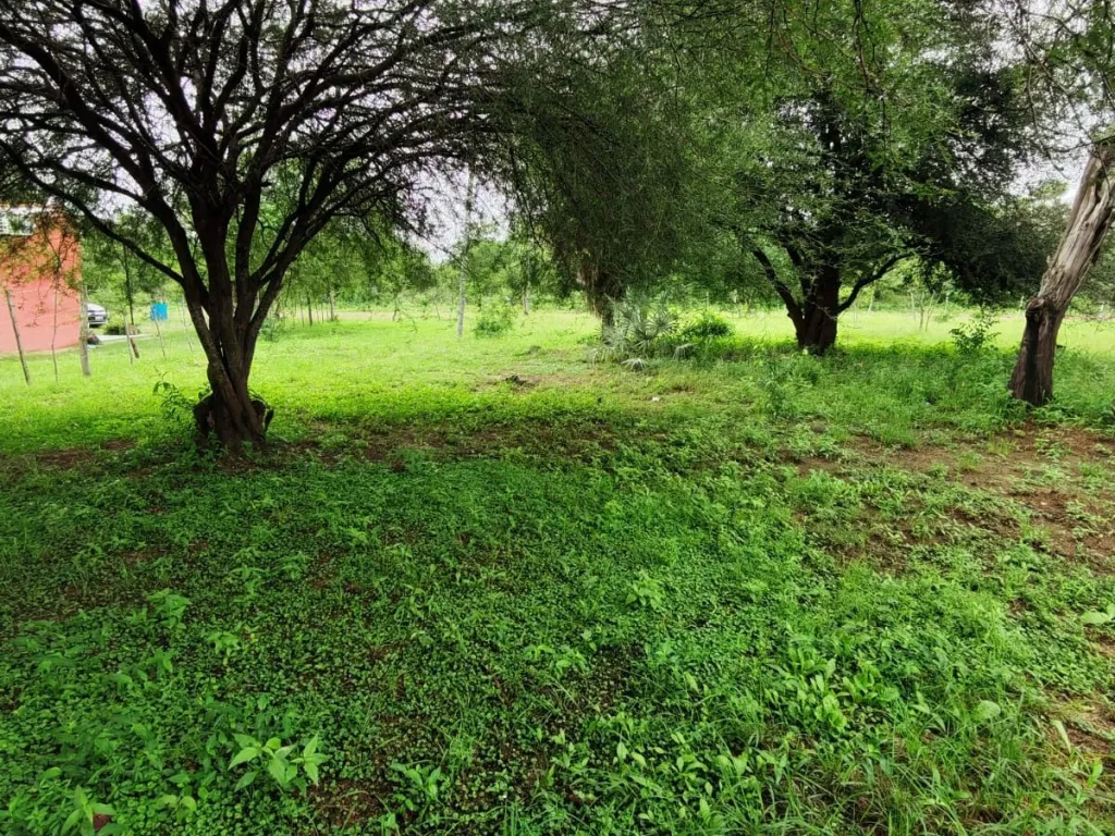 VENDO TERRENO EN CHACO’I – NUEVA ASUNCIÓN — foto 1