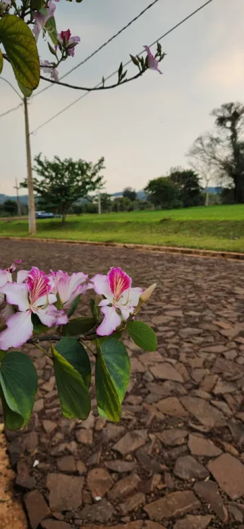 TERRENO EN VENTA. — foto 1
