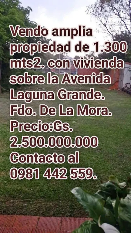 SOBRE AVENIDA LAGUNA GRANDE VENDO PROPIEDAD DE 1.300 MTS2. CON VIVIENDA. — foto 1
