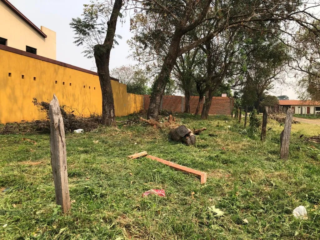 Vendo terreno en San Lorenzo — foto 1
