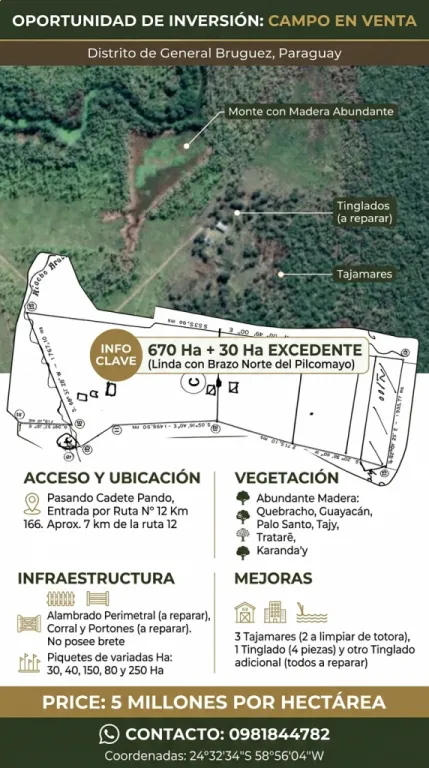 VENDO 670 HECTAREAS EN GRAL. BRUGUEZ, G.5.000.000 LA HECTAREA — foto 1