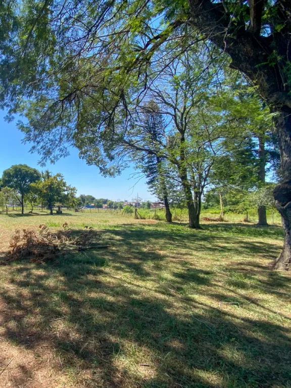 Vendo terreno de 15 hectáreas sobre Ruta PY02 – Itauguá — foto 1