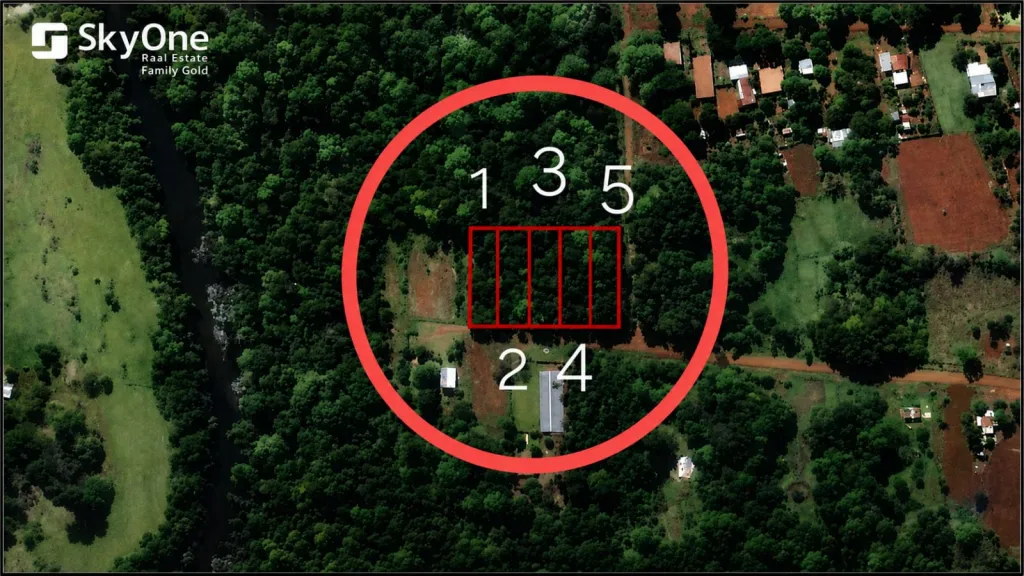 Vendo Propiedad en Hohenau | 2.581 m² | 5 Lotes | Gs. 250 Millones — foto 1