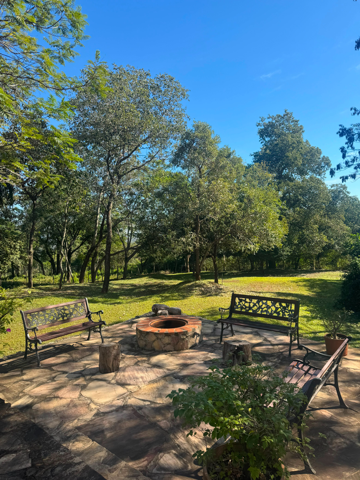 VENDO ACOGEDORA CABAÑA DE 9 HECTAREAS — foto 1