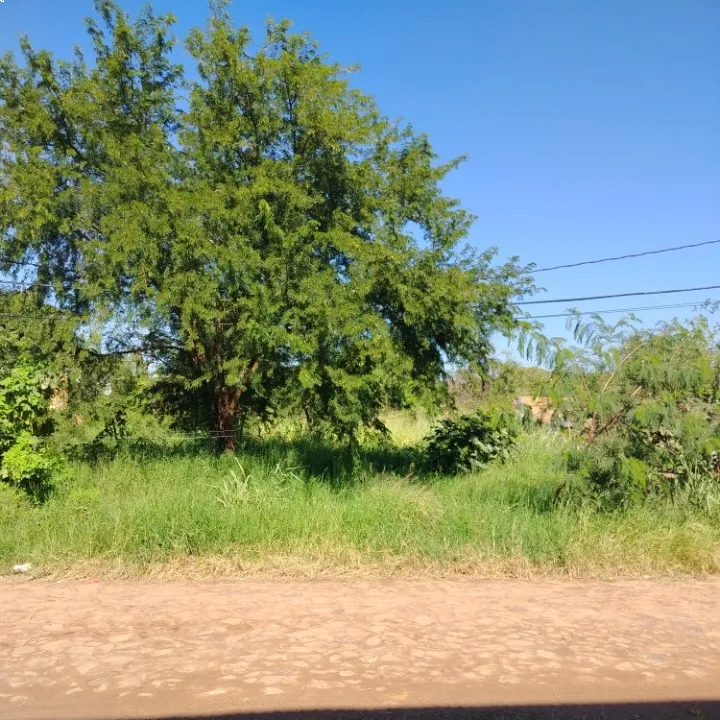 Tellez Grange Vende terreno en esquina de 13x26 con empedrado en Mora Cue Luque — foto 1
