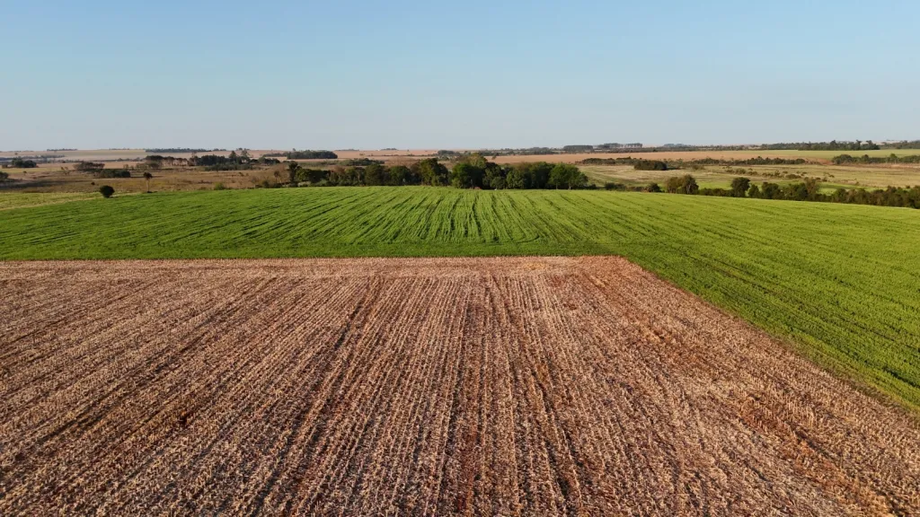 📌Propiedad Rural en Venta – Cruce Itakyry (Barro Negro - Mbaracayu – Alto Paraná) — foto 1