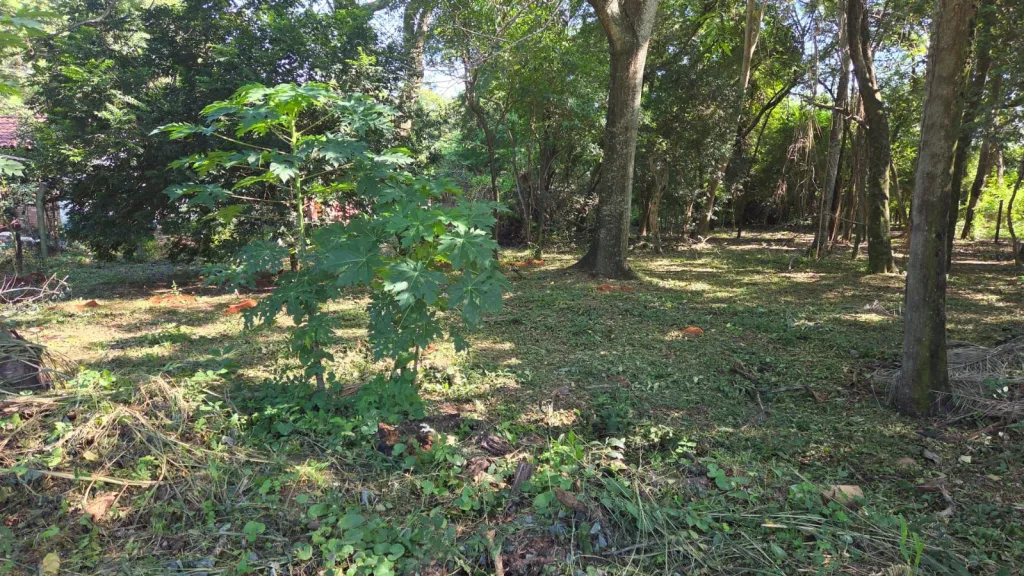 Vendo terreno en San Bernardino — foto 1