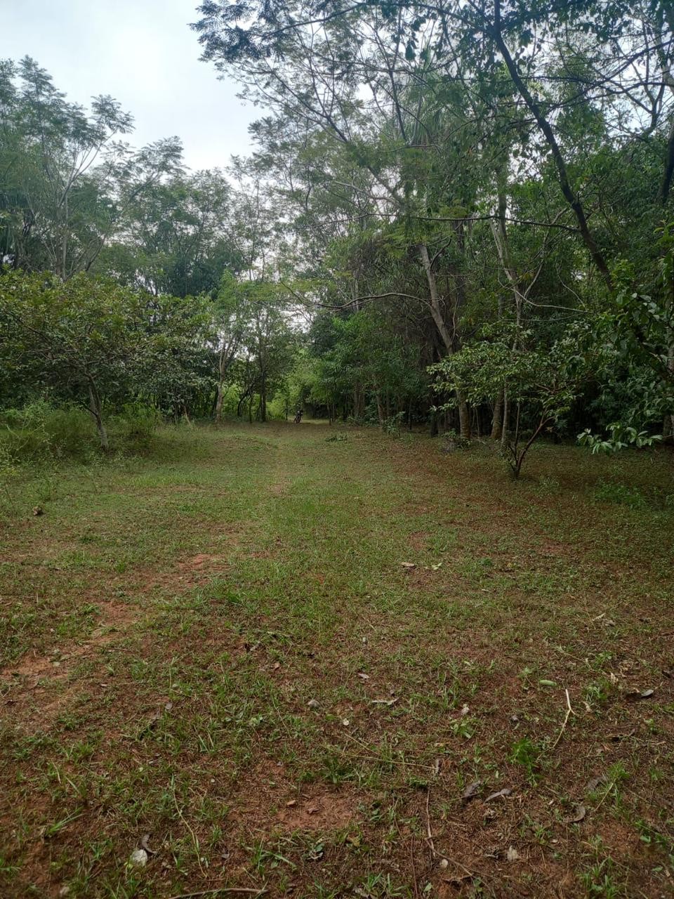 En Venta Terreno de 5 Hectáreas en Aguaity - Eusebio Ayala - Cordillera V246 — foto 1