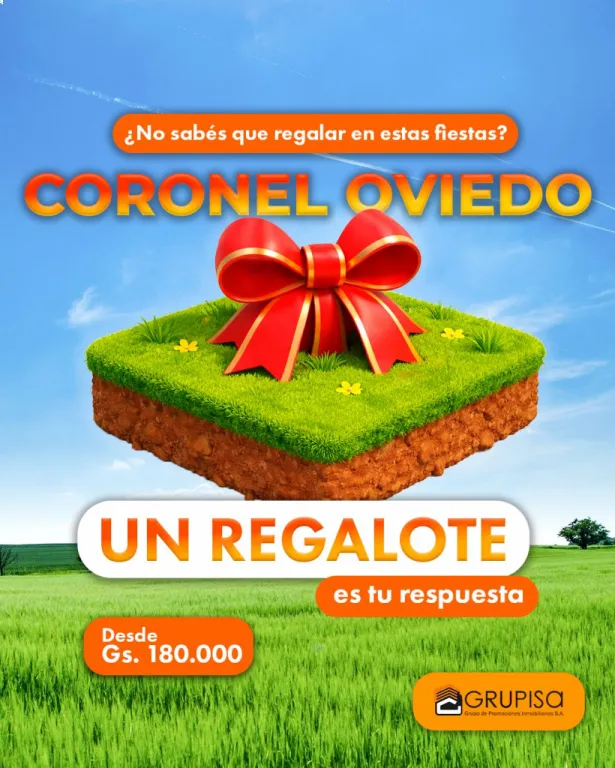 Cnel. Oviedo-Lotes sobre asfalto (inversion muy segura y rentable) — foto 1