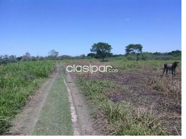 ÑEEMBUCU - ISLA UMBU - PILAR - CAMPO AGRO GANADERO 4.700 Hás — foto 1