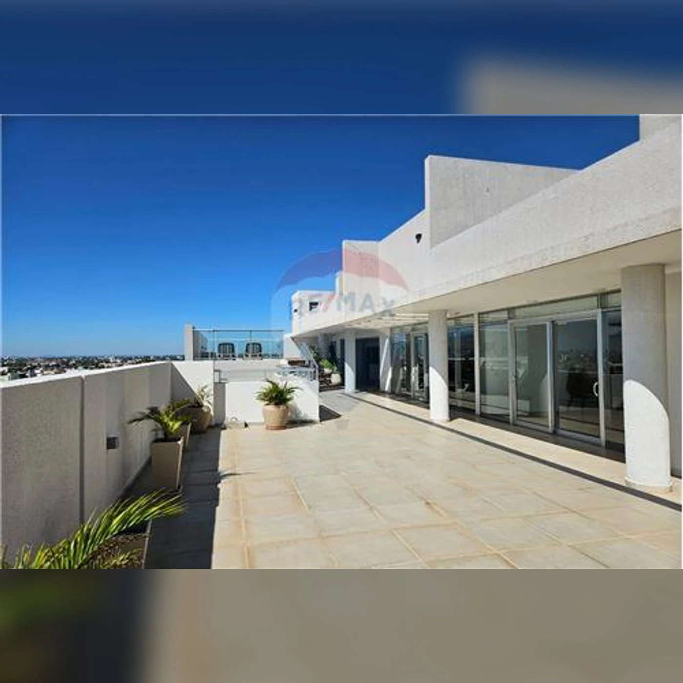 Zenith Félix Bogado · Foto dell’annuncio